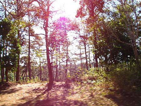 IMG_2640 IMG_2640