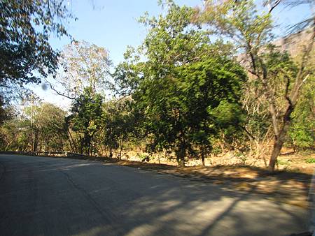 IMG_2579 IMG_2579