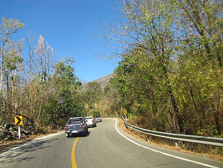 IMG_2595 IMG_2595