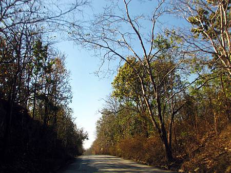 IMG_2605 IMG_2605