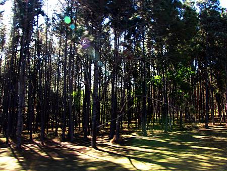 IMG_2627 IMG_2627