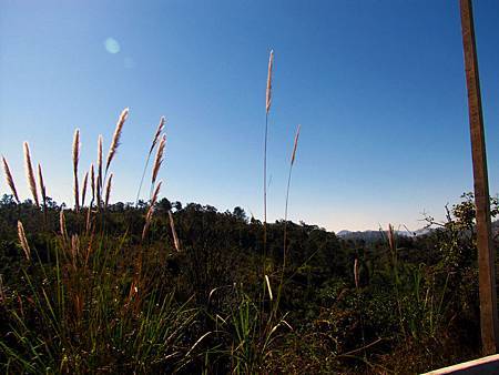IMG_2670 IMG_2670