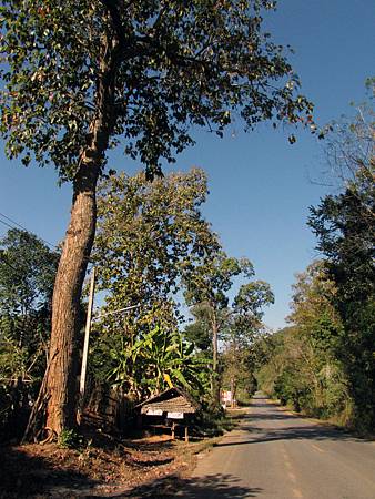 IMG_2841 IMG_2841