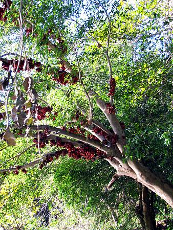 IMG_2910 IMG_2910