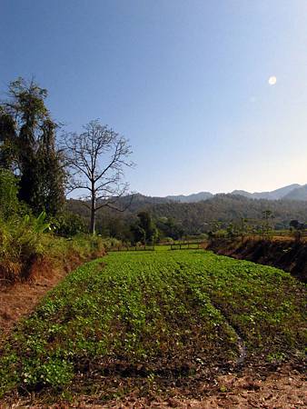 IMG_3341 IMG_3341
