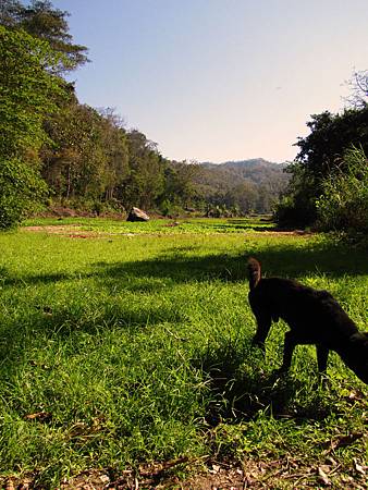 IMG_3353 IMG_3353