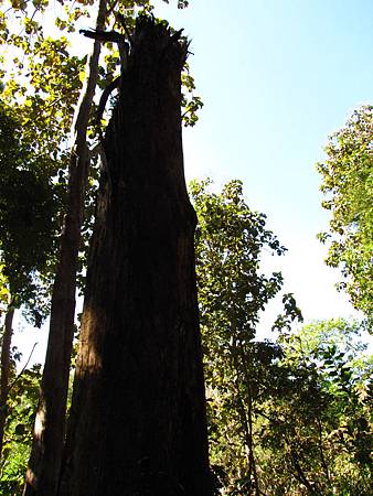 IMG_3362 IMG_3362