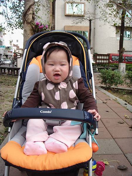 DSC04240 (600x800) DSC04240 (600x800)