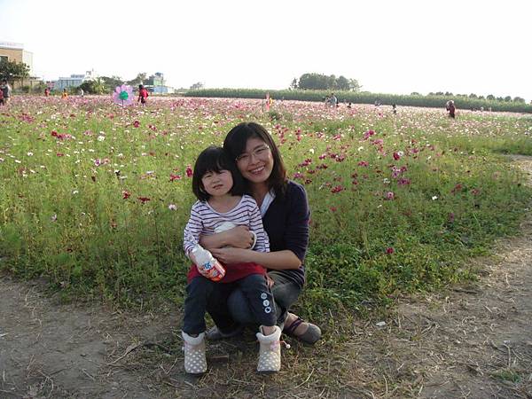 DSC04279 (800x600) DSC04279 (800x600)