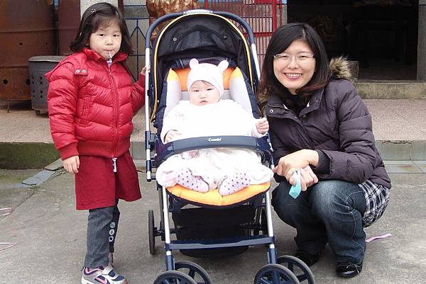 DSC04288 (800x534) DSC04288 (800x534)