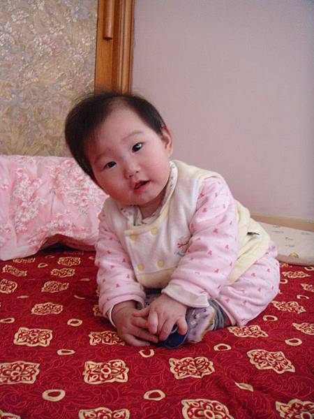 DSC04306 (600x800) DSC04306 (600x800)