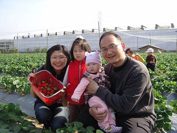 DSC04367 (800x600) DSC04367 (800x600)