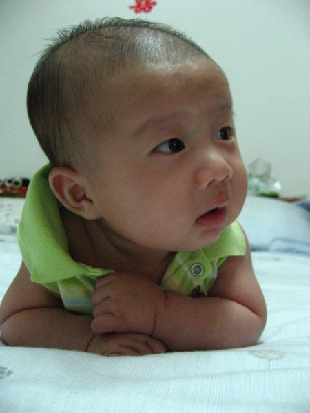 三個月..抬頭蛙..頭毛好少啊..><..