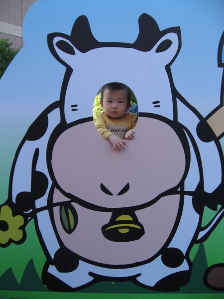 變身牛.. 變身牛..