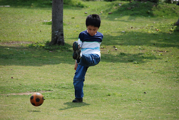 DSC_0028.JPG DSC_0028.JPG