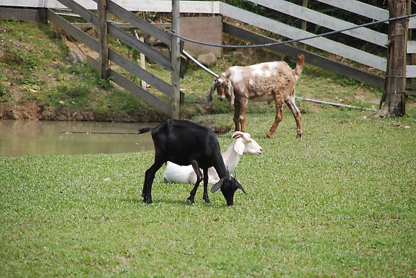 DSC_0027.JPG DSC_0027.JPG