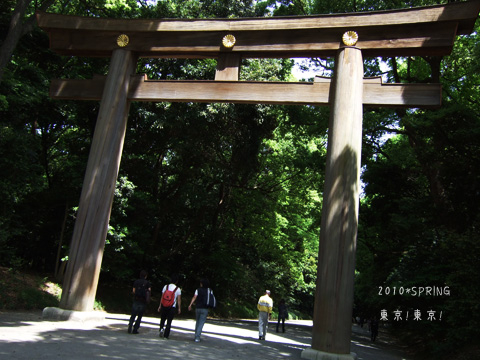DSCF1088.jpg