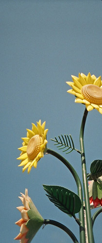 89290032.jpg 89290032.jpg