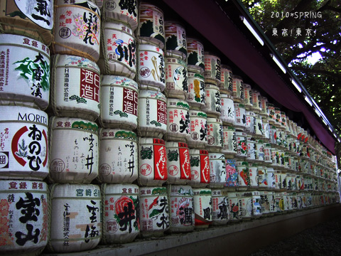 DSCF1101.jpg