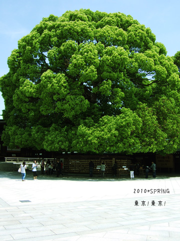 DSCF1114.jpg