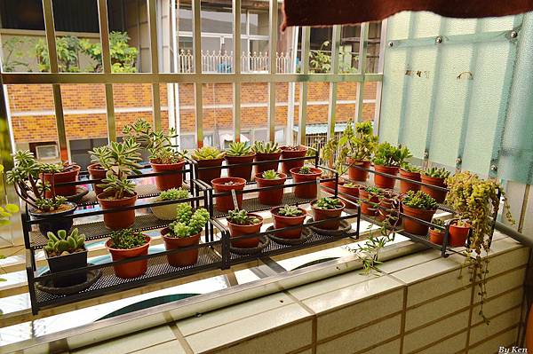 花架 花架