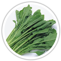 實物圖擷取-波菜(植物固醇)