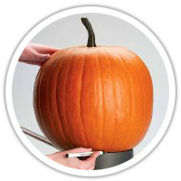 實物圖擷取-南瓜(植物固醇)