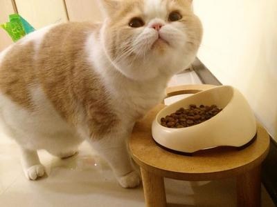 內置圖片 1