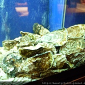 法國Gillardeau吉拉多生蠔 法國Gillardeau吉拉多生蠔