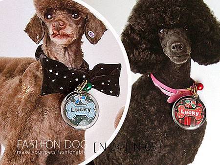 251256_409944925734901_567223618_n 251256_409944925734901_567223618_n