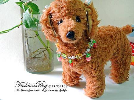 69795_479856925410367_1095034994_n 69795_479856925410367_1095034994_n