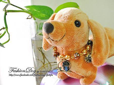 6242_479857062077020_1329160876_n