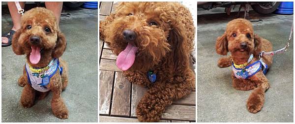 PhotoGrid_1369611613740 PhotoGrid_1369611613740