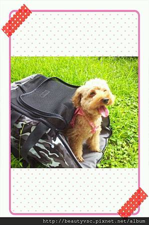 2013_06_19_09_26_20 2013_06_19_09_26_20