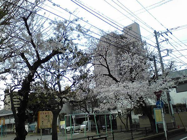 Image208.jpg Image208.jpg