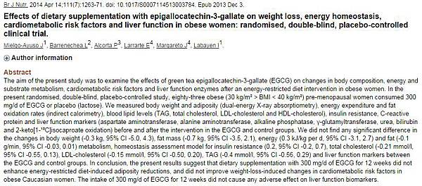 綠茶素無效 綠茶素無效