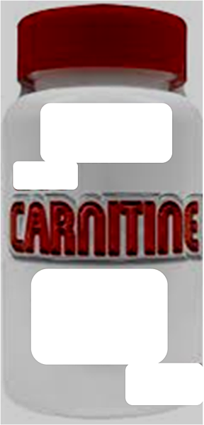 carnitine carnitine