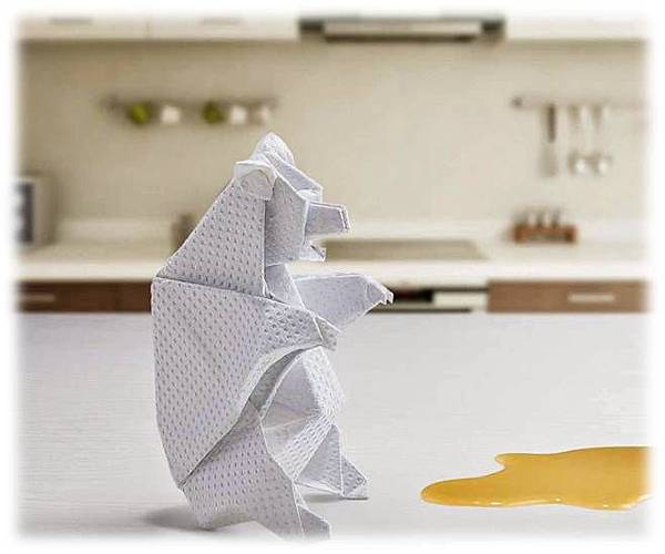 廚房紙巾 廚房紙巾