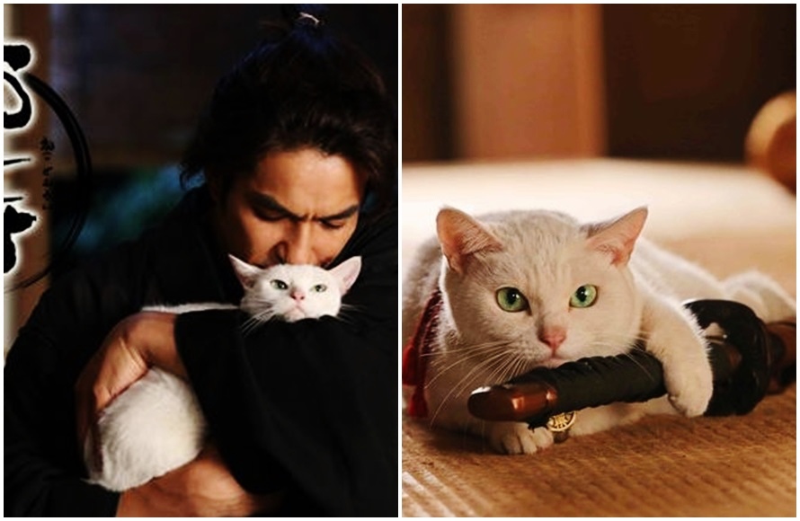 : 上户彩 《昼颜》昼颜》《午妻》vs. 《<em>医龙</em>》