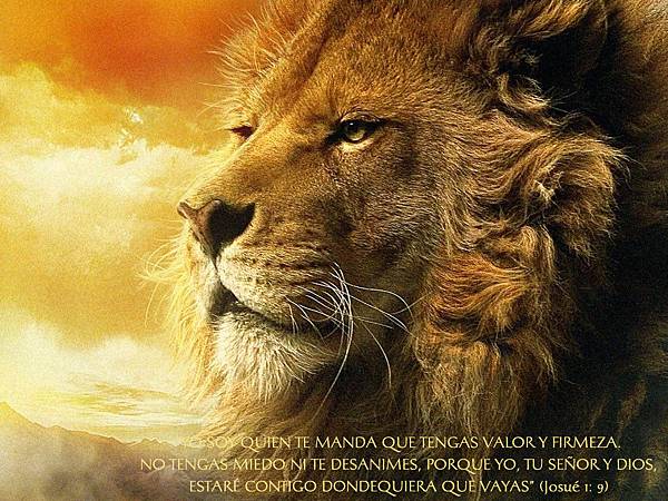 aslan-and-bible_2302_1024x768 aslan-and-bible_2302_1024x768