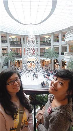 是從天而降的聖誕樹 是從天而降的聖誕樹