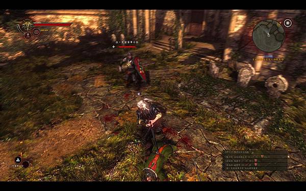 witcher2 2011-05-27 02-50-17-78.jpg