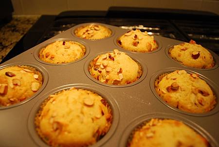 蔓越莓杏仁瑪芬 Cranberry & Almond Muffin