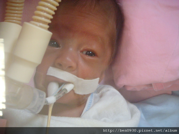 選我選我 選我選我