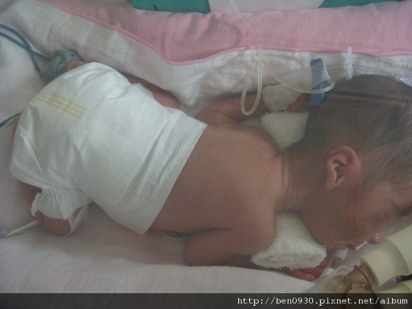 果真喜歡趴睡耶!