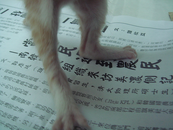 01 (1).JPG 01 (1).JPG