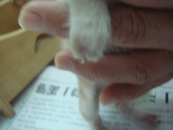 01 (3).JPG 01 (3).JPG