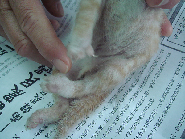 02 (1).JPG 02 (1).JPG