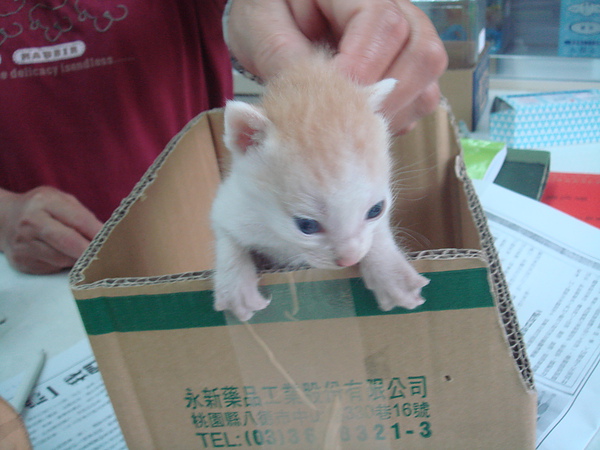 03 (1).JPG 03 (1).JPG