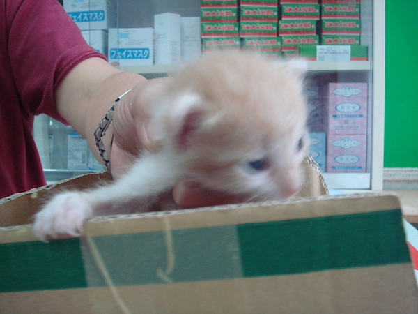 04 (1).JPG 04 (1).JPG